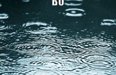 d8f2019baf730aac63719be83b0641c796a