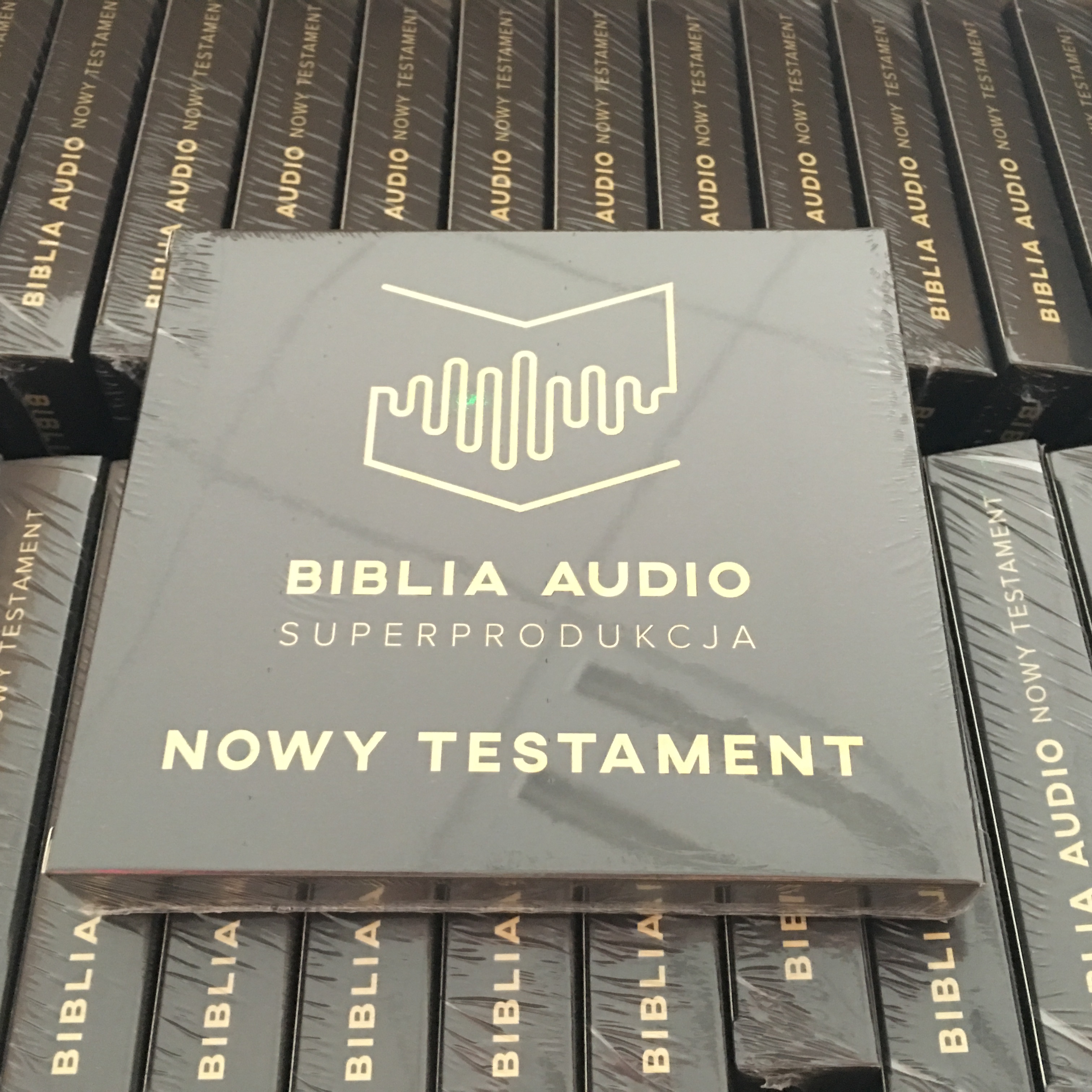 Biblia Audio