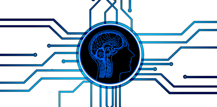 Psychologia i phishing: Jak łatwo nas oszukać