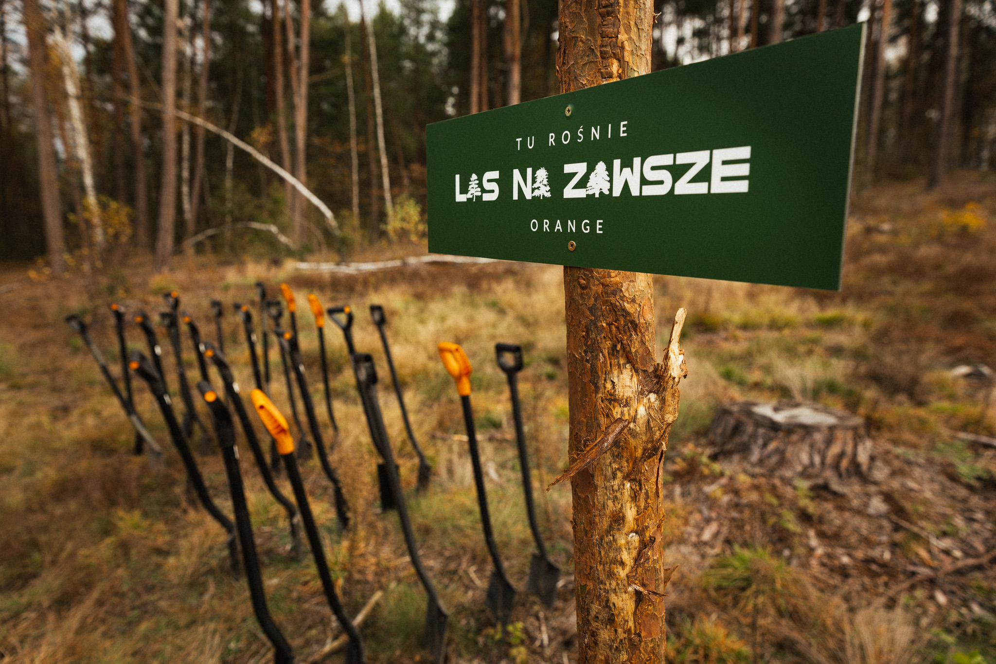 Posadziliśmy las w Szostakach