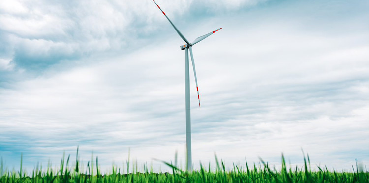 Orange Polska na półmetku realizacji celów klimatycznych na 2025 r. – powstanie kolejna farma wiatrowa na potrzeby operatora