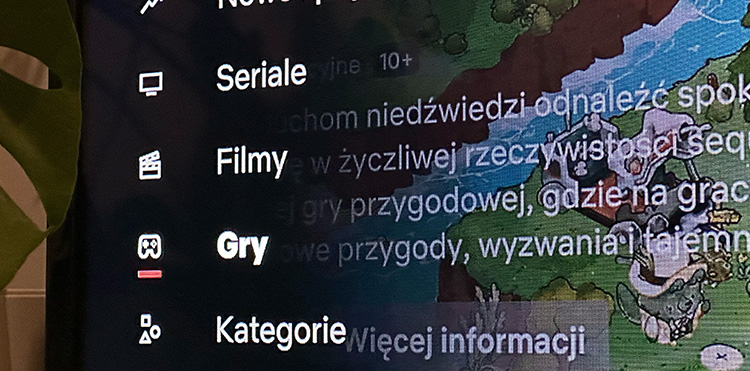 gry netflix